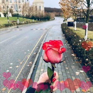 Meet your Posher, Soùsou